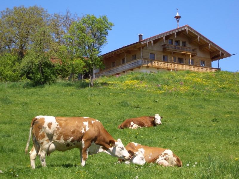 Ferienwohnung Huberbauernhof Piding Exterior foto